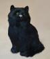 Mobile Preview: Große schwarze Katze sitzend